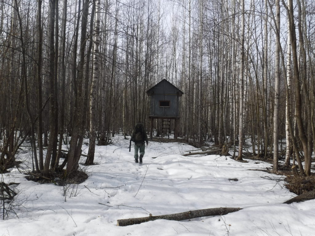Исчезнувшие деревни России. Пензенские туристы побывали на месте бывшего села Адамовка